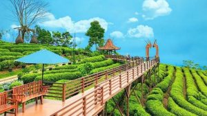 travel bandung semarang