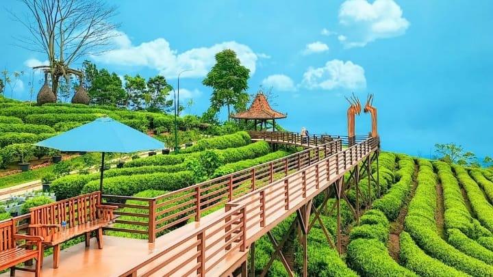 travel bandung semarang